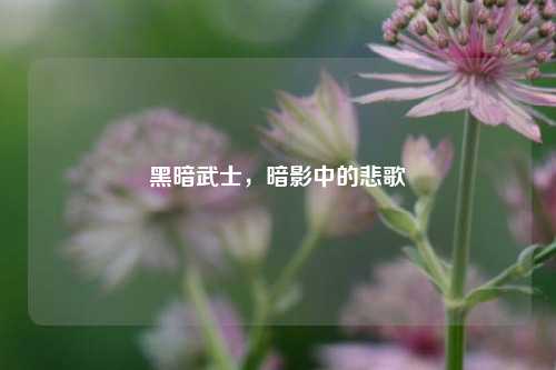 黑暗武士,暗影中的悲歌