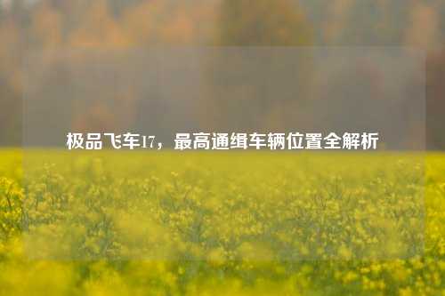 极品飞车17,最高通缉车辆位置全解析