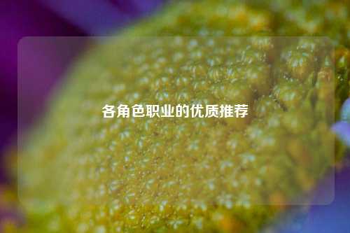 各角色职业的优质推荐
