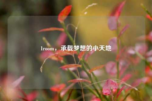 1room,承载梦想的小天地