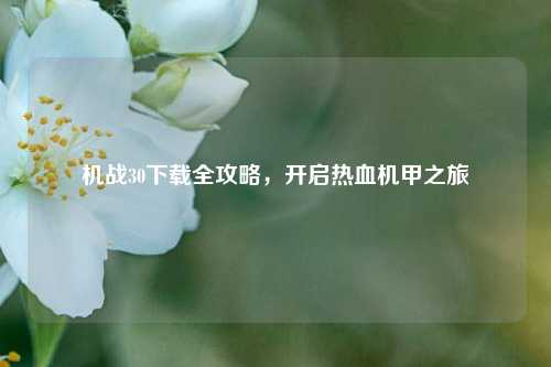机战30下载全攻略,开启热血机甲之旅