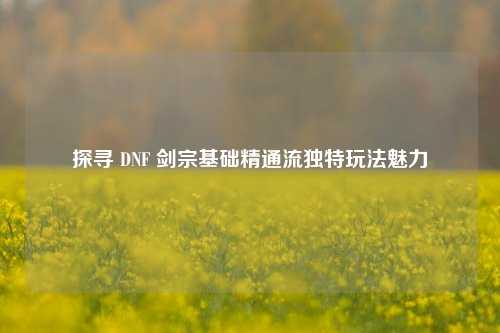 探寻 DNF 剑宗基础精通流独特玩法魅力