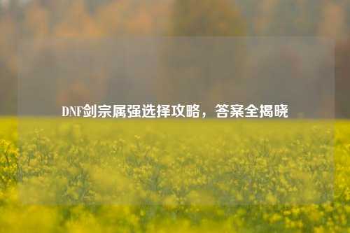 DNF剑宗属强选择攻略，答案全揭晓