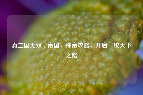真三国无双 7 帝国,称帝攻略,开启一统天下之路