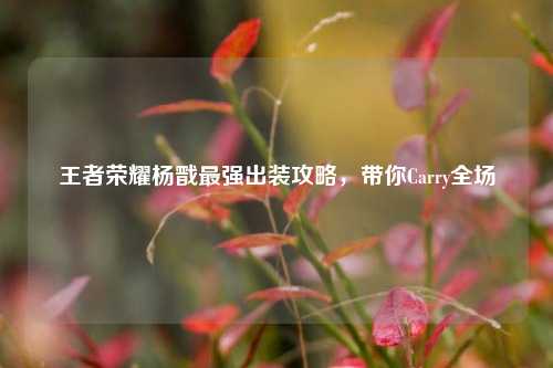 王者荣耀杨戬最强出装攻略,带你Carry全场