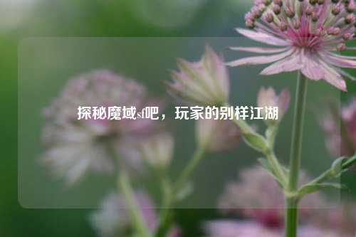 探秘魔域sf吧,玩家的别样江湖