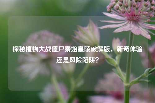 探秘植物大战僵尸秦始皇陵破解版,新奇体验还是风险陷阱?
