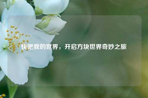 快吧我的世界，开启方块世界奇妙之旅