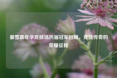 暴雪嘉年华竞技场历届冠军回顾,竞技传奇的荣耀征程