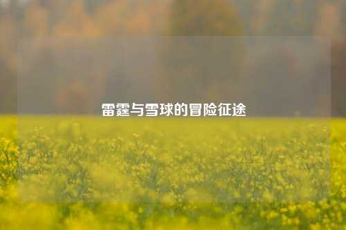 雷霆与雪球的冒险征途