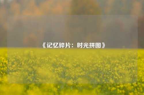 《记忆碎片:时光拼图》