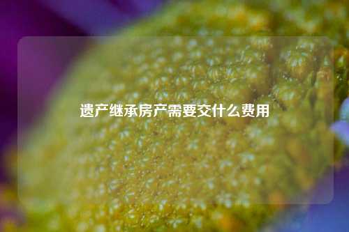 遗产继承房产需要交什么费用