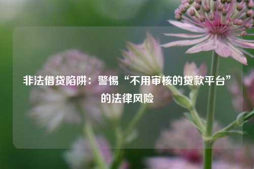 非法借贷陷阱:警惕“不用审核的贷款平台”的法律风险