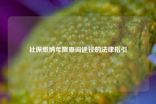 社保缴纳年限查询途径的法律指引