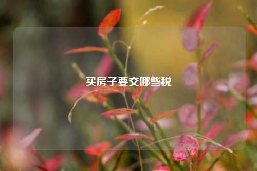 买房子要交哪些税