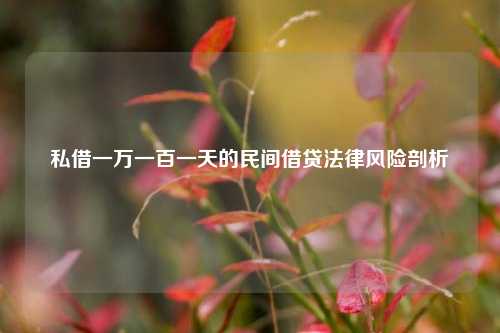 私借一万一百一天的民间借贷法律风险剖析