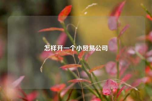 怎样开一个小贸易公司