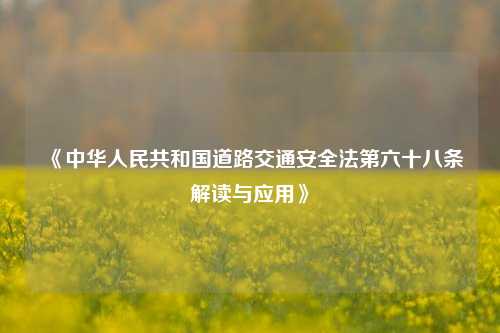 《中华人民共和国道路交通安全法第六十八条解读与应用》