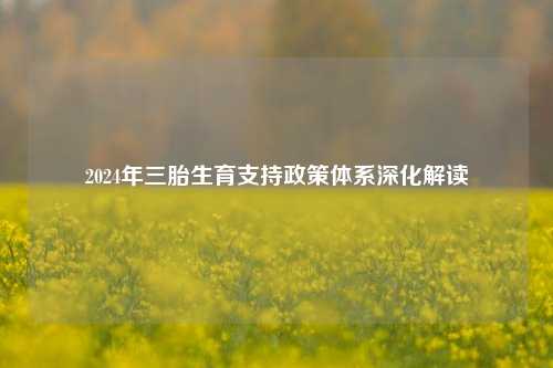 2024年三胎生育支持政策体系深化解读