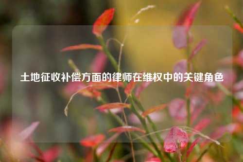 土地征收补偿方面的律师在维权中的关键角色