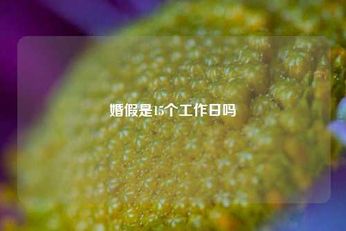 婚假是15个工作日吗