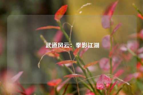  武道风云：拳影江湖
