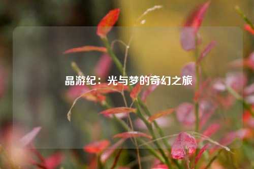  晶游纪：光与梦的奇幻之旅