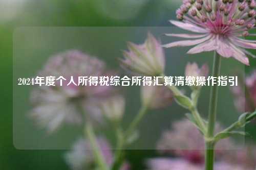 2024年度个人所得税综合所得汇算清缴操作指引