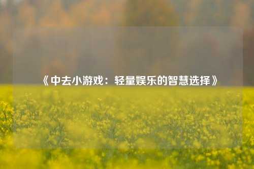 《中去小游戏：轻量娱乐的智慧选择》