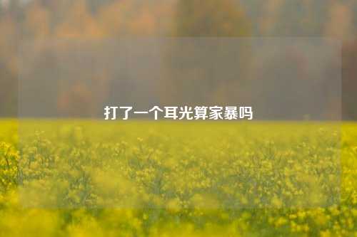 打了一个耳光算家暴吗