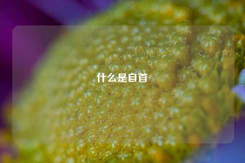 什么是自首