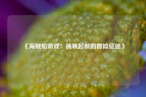 《海贼船游戏：扬帆起航的冒险征途》