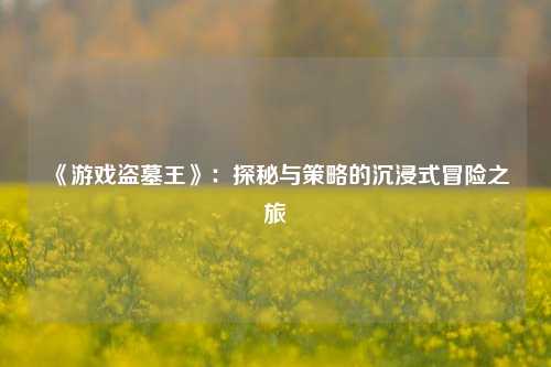 《游戏盗墓王》:探秘与策略的沉浸式冒险之旅