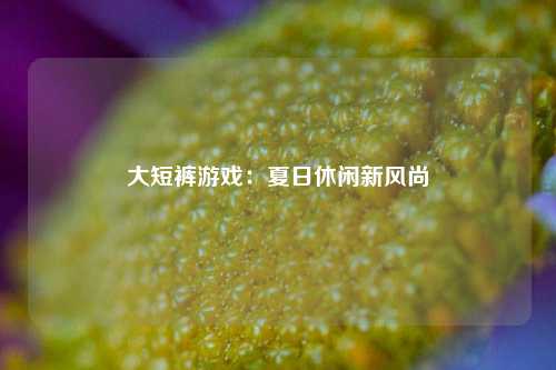 大短裤游戏:夏日休闲新风尚