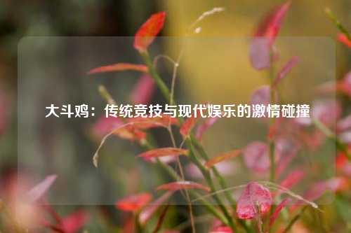 大斗鸡:传统竞技与现代娱乐的激情碰撞