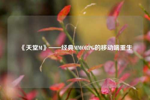  《天堂M》——经典MMORPG的移动端重生