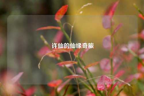  许仙的仙缘奇旅