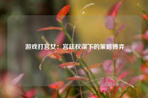  游戏打宫女：宫廷权谋下的策略博弈