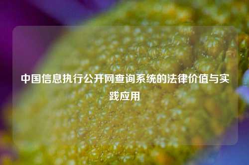 中国信息执行公开网查询系统的法律价值与实践应用