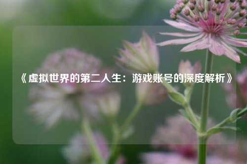 《虚拟世界的第二人生：游戏账号的深度解析》