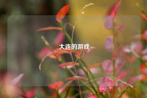  大连的游戏