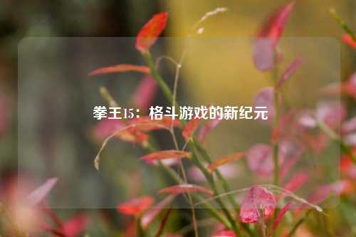  拳王15：格斗游戏的新纪元