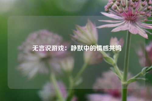 无言说游戏:静默中的情感共鸣