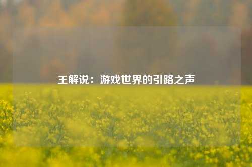 王解说：游戏世界的引路之声