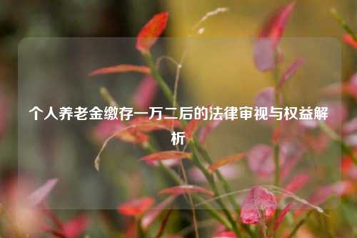 个人养老金缴存一万二后的法律审视与权益解析