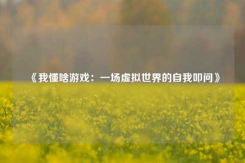 《我懂啥游戏:一场虚拟世界的自我叩问》