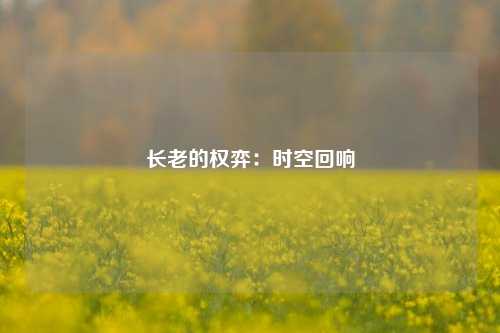 长老的权弈：时空回响