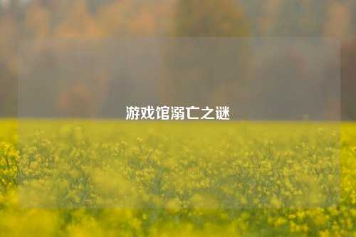 游戏馆溺亡之谜