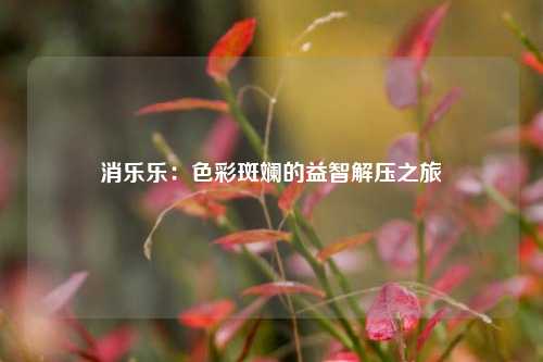 消乐乐:色彩斑斓的益智解压之旅