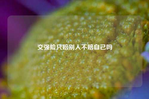 交强险只赔别人不赔自己吗